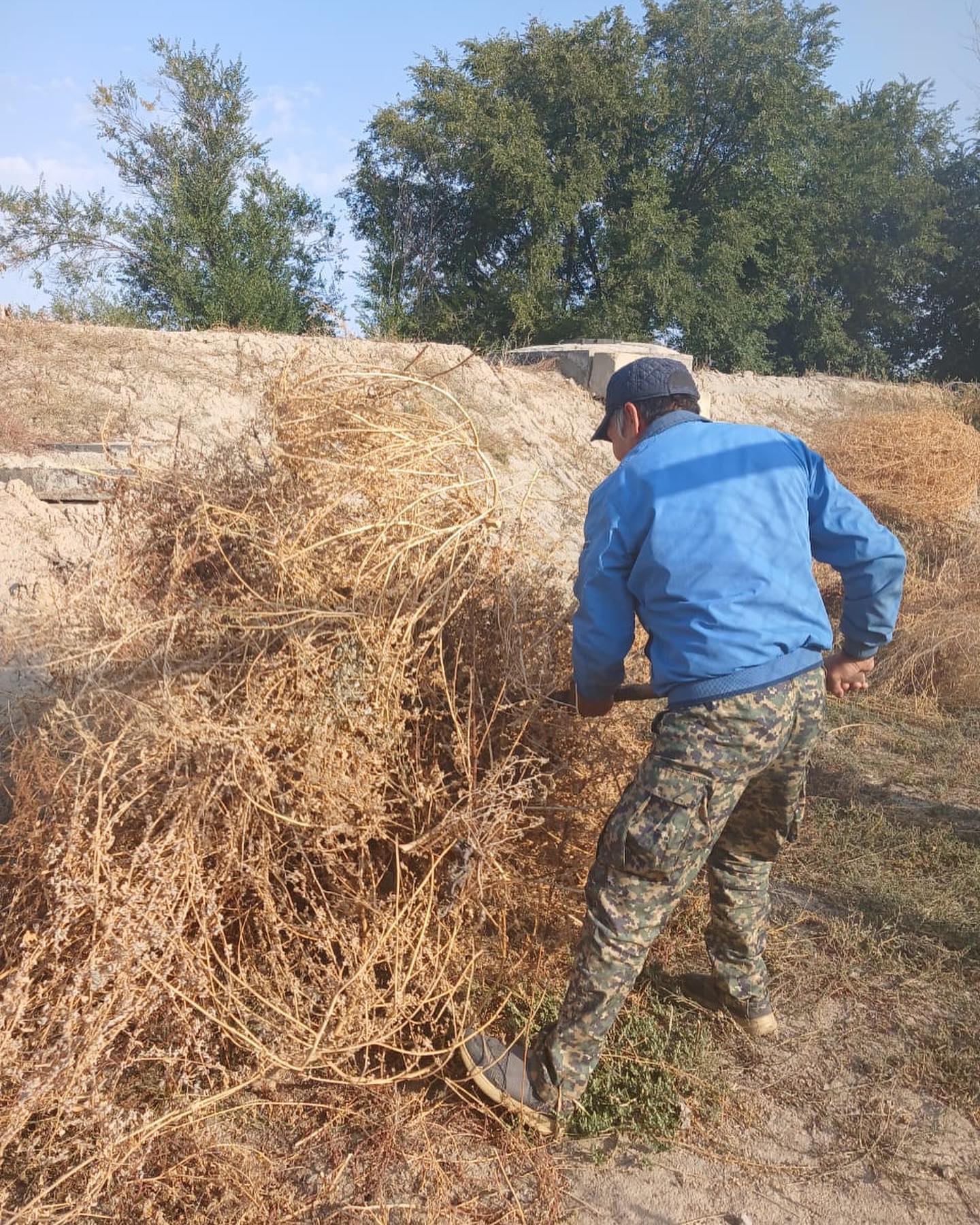 таза қазақстан